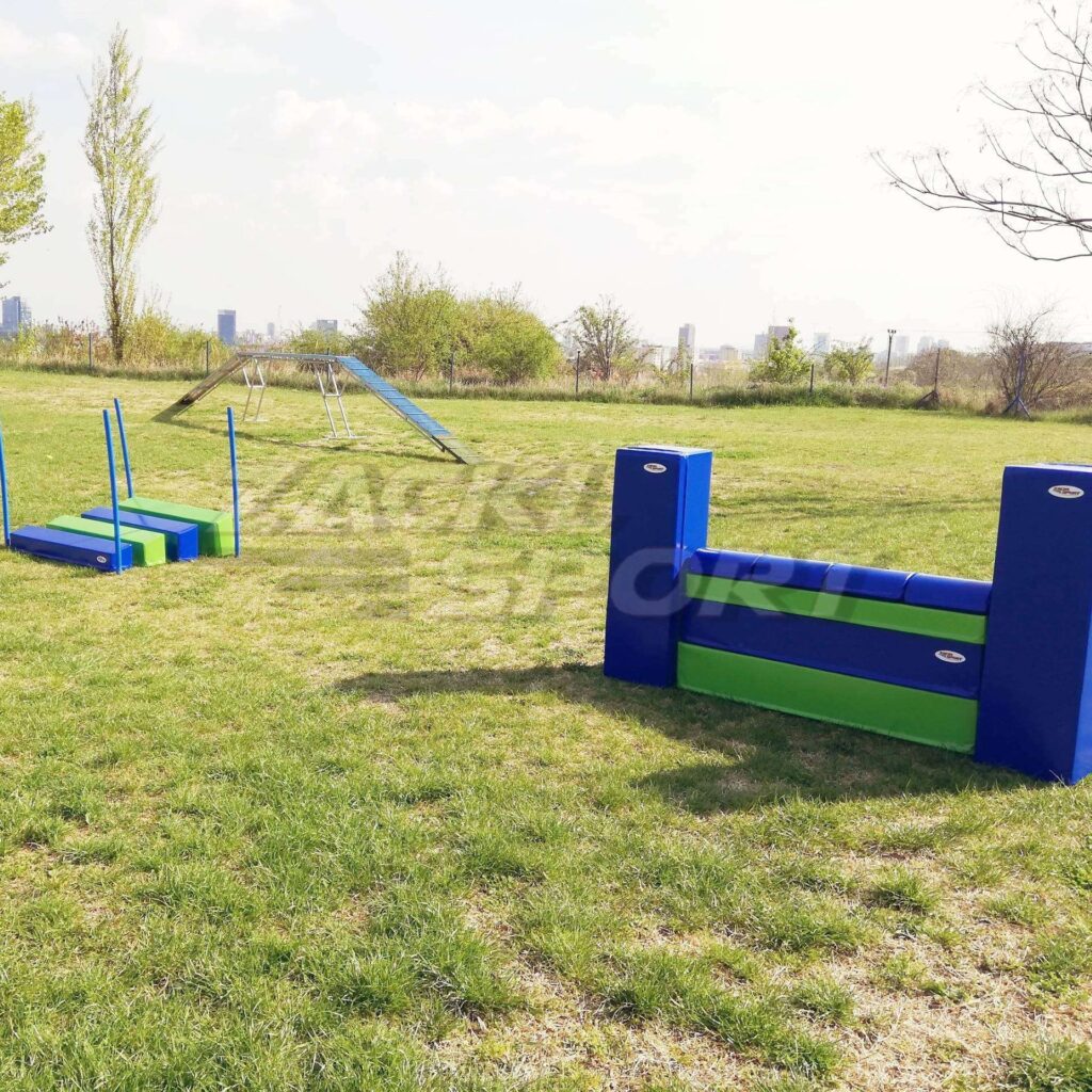 Molitanové agility překážky v modrozelené barvě na tréninkové louce